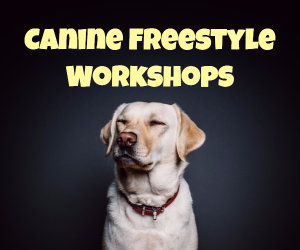 Canine Freestyle Workshops